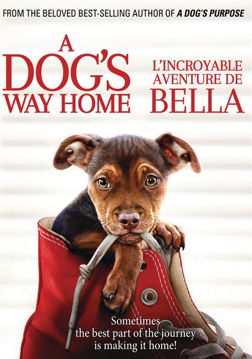 L Incroyable Aventure De Bella Streaming Film L'incroyable Aventure De BELLA , date et heure de projetction par