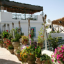 Dar Hassine Allani maison d'hôte à Kairouan