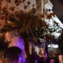 Villa Les Palmes maison d'hôte à Tunis