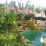 Dar Saada maison d'hôte à Djerba