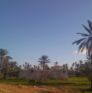 Dar Saada maison d'hôte à Djerba